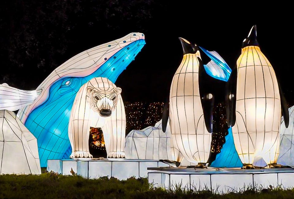 The DC Winter Lantern Festival features over 1,000 Chinese lanterns. Photo courtesy of the festival