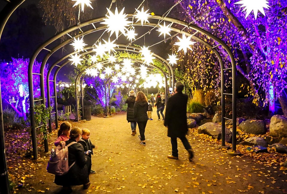 See Descanso Gardens in a whole new light. Photo courtesy of Descanso Gardens