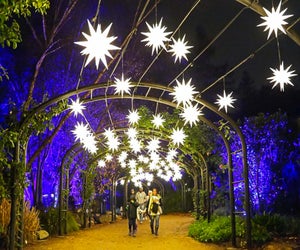 Enchanted: Forest of Light brings the holiday magic to Descanso Gardens. Photo courtesy of Descanso Gardens via Facebook