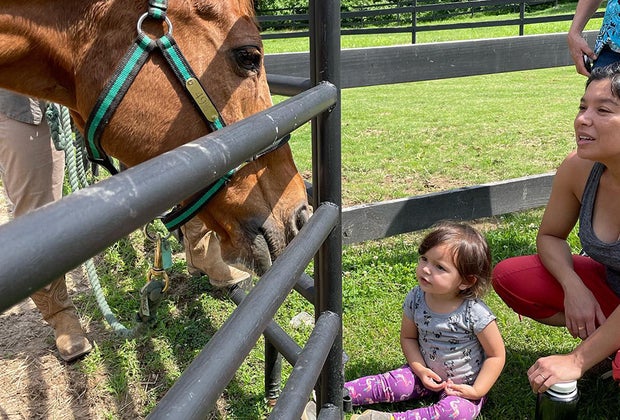Little Creek Horse Farm and Park Decatur with Kids: Best Things To Do in Decatur, GA