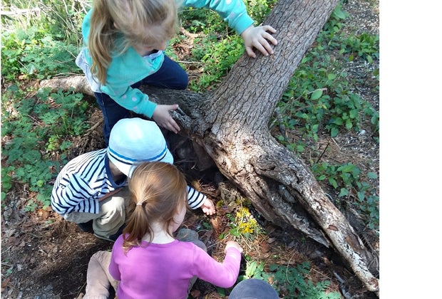 Image of Pequotsepos Nature Center - Guide to Mystic CT