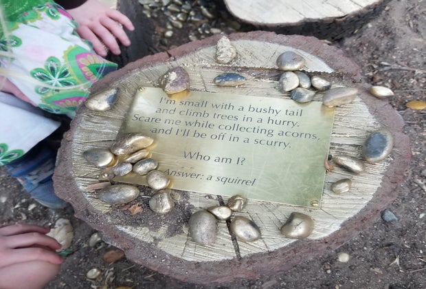 Who am I? A squirrel!