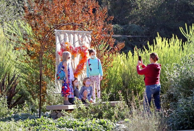 What's Open iin LA Now: Descanso Gardens