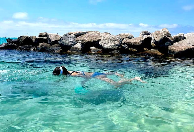 Things To Do in Destin, FL: snorkeling