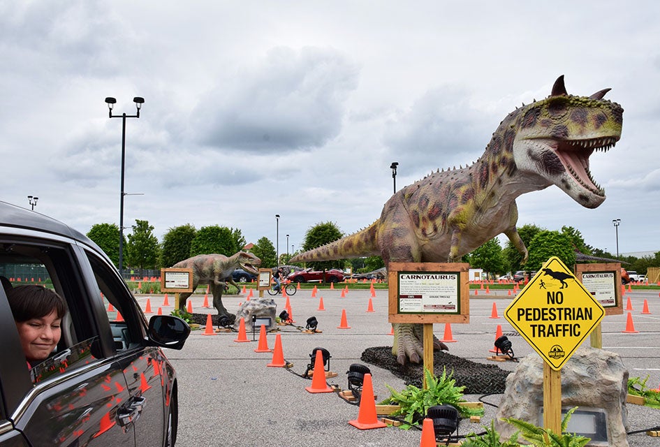 A Drive-thru Dino Safari Roars Onto Long Island Dino Safari takes visitors on a prehistoric tour of more than 40 life-sized, moving dinosaurs in the parking lot at Deer Park's Tanger Outlets.