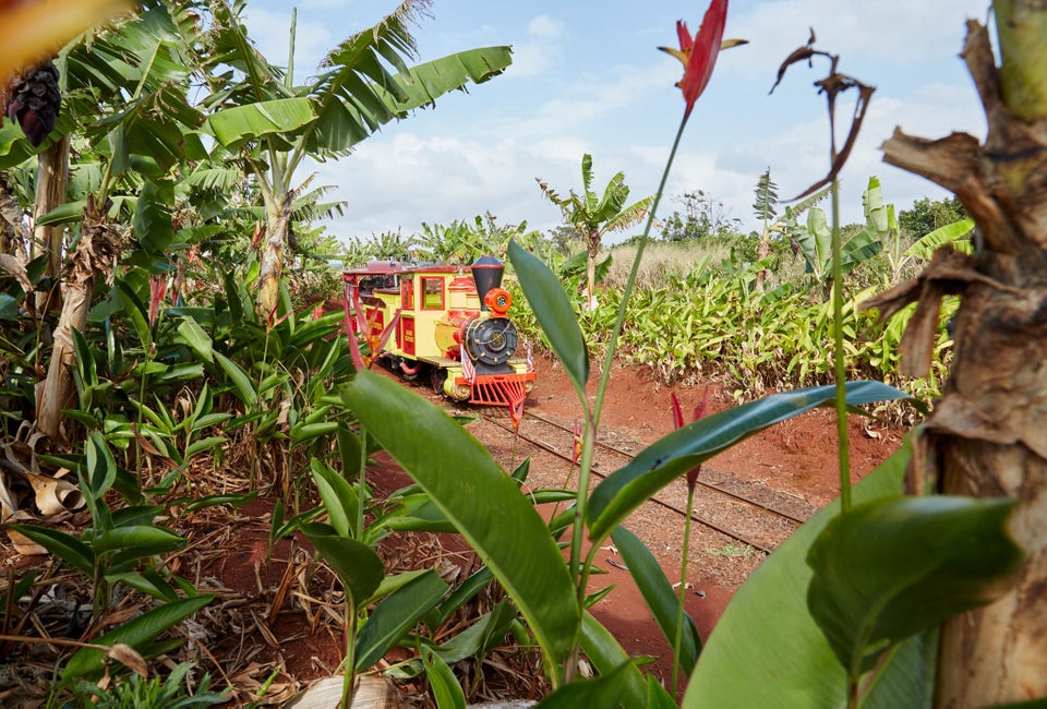 Kids can ride a train through the Dole Plantation. Photo courtesy of the plantation