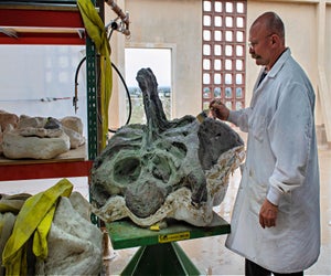 Dino Fest offers a behind-the-scenes look at fossil restoration. Photo courtesy of the Natural History Museum of Los Angeles County