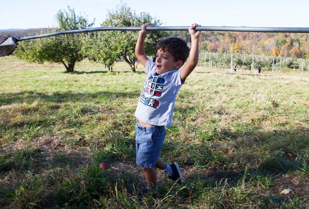 Apple picking near NYC Dr. Davies Farm