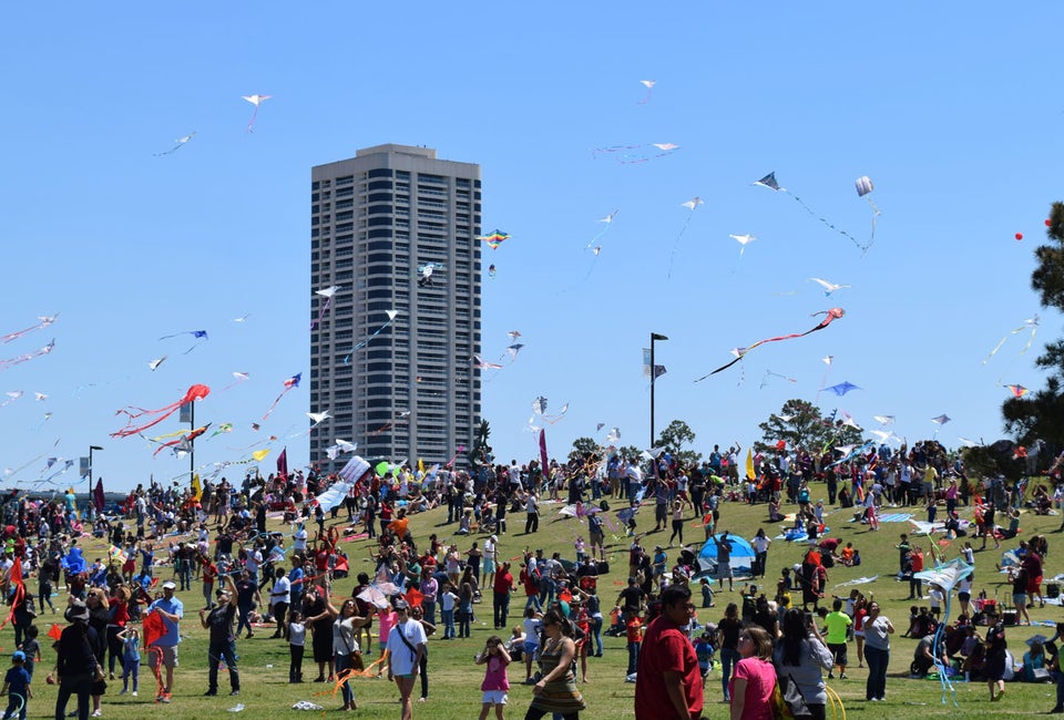 Flying High at the Hermann Park Kite Festival