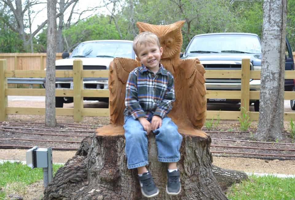 Bellaire Nature Discovery Center Undergoes Massive Renovation