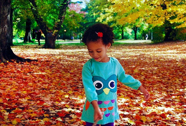 Brooklyn Leaf-Peeping with Kids: Top Streets for Fall Foliage