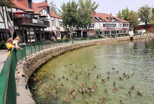 Best Things To Do with Kids in Lake Arrowhead: Feeding ducks at breakfast