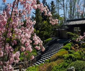 Spend a spring day in the zen garden at the Huntington. Photo courtesy of the Huntington