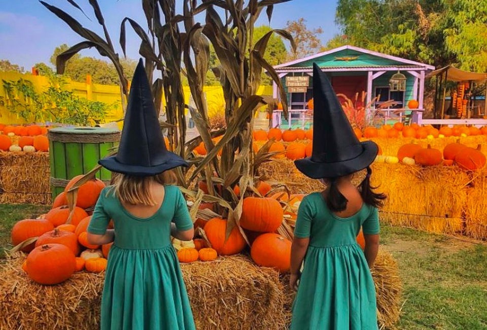 Hitch a ride to the El Dorado Frontier Pumpkin Market. Photo courtesy of theeldoradofrontier.com