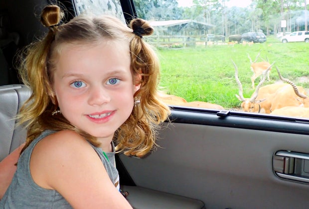 Drive-through safari at Lion Country Safari