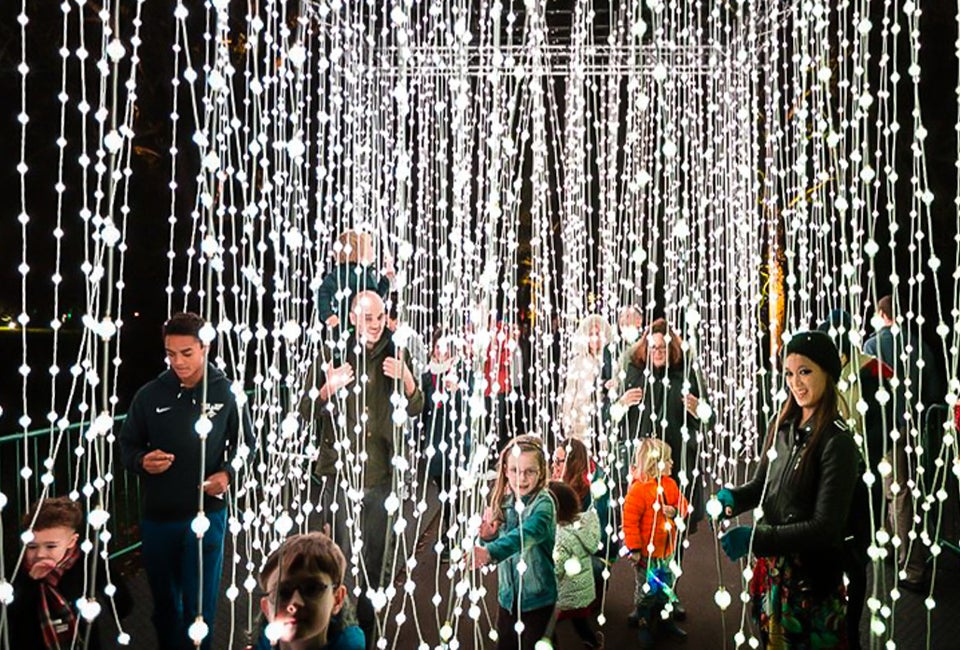 The Chicago Must-Do Christmas Events to Book Now Before They Sell Out Lightscape at Chicago Botanic Garden. Photo courtesy of the event.