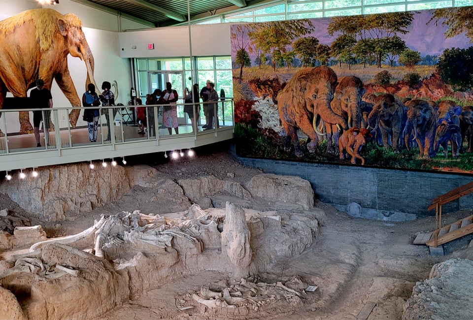 12 Best Things To Do in Waco With Kids Waco Mammoth National Monument. Photo by Rebecca Matheson Ortiz.