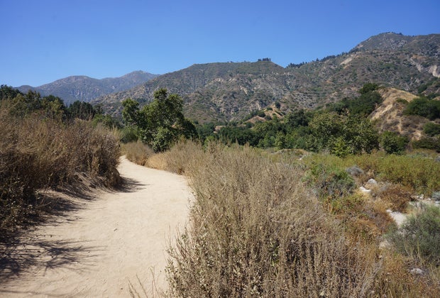 Wildlife Hikes for Kids in Los Angeles: Eaton Canyon
