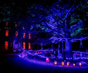 Get out for the chilly nights and spooky sights with the best Halloween events in Boston for 2025! Naumkeag Pumpkin Show event photo courtesy of The Trustees