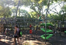 Elephant Playground in Riverside Park Reopens After Renovation