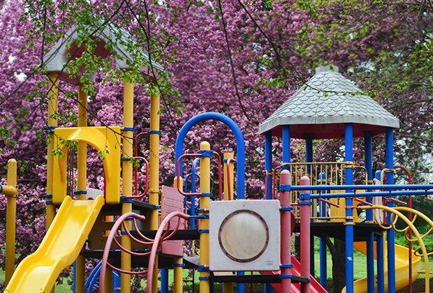 Slides and climbing playground