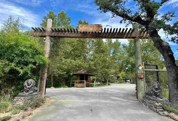 Safari West: Go on a safari in the middle of wine country.