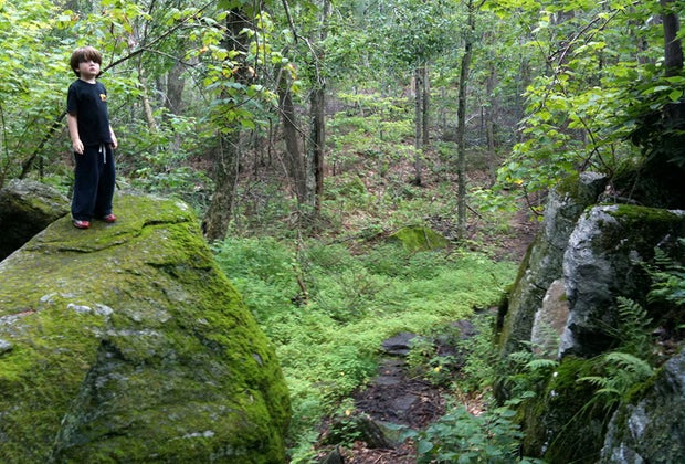Earth Kids is all able getting our children excited about environmentalism.