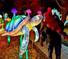 Come nose-to-nose with brilliantly lit sea turtles and more magical creatures during a visit to the NYC Winter Lantern Festival.