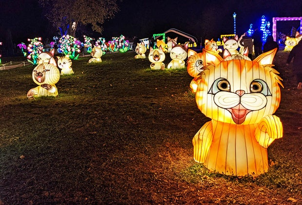 Escape NYC Winter Lantern Festival snug harbor