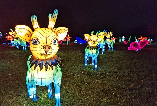 Escape NYC Winter Lantern Festival snug harbor