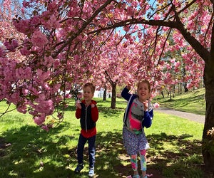 Enjoy the park and blooms at Bloomfest at Branch Brook Park. Photo by Rose Gordon Sala