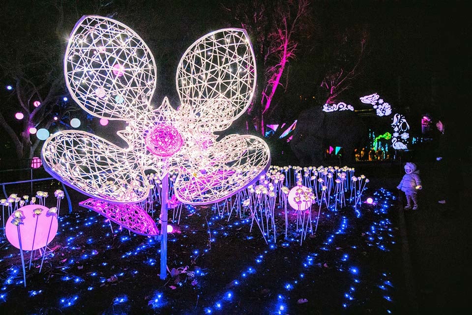 Over a million lights illuminate the Philadelphia Zoo as it transforms into a sparkling winter wonderland, LumiNature. Photo by Georgi Anastov Photography 
