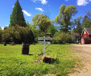 Enjoy fresh food, live music, and more at Fable's Summer Farm Fest. Photo courtesy of Fable