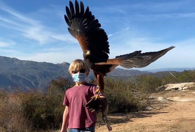 Sky Falconry teaches kids how to fly hawks and falcons