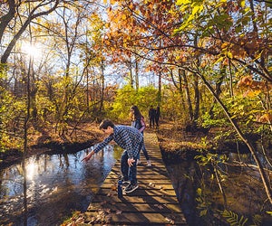 Enjoy the beauty of the season with a fall foliage walk on one of Long Island's beautiful trails. Photo courtesy of Discover Long Island