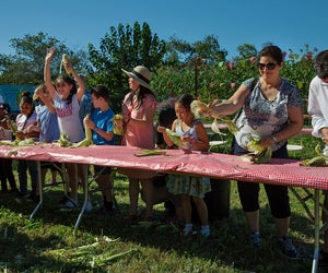 Try your hand at corn husking and more analog entertainment during the Corn Fest at the Queens County Farm Museum. Photo courtesy of the Queens County Farm Museum