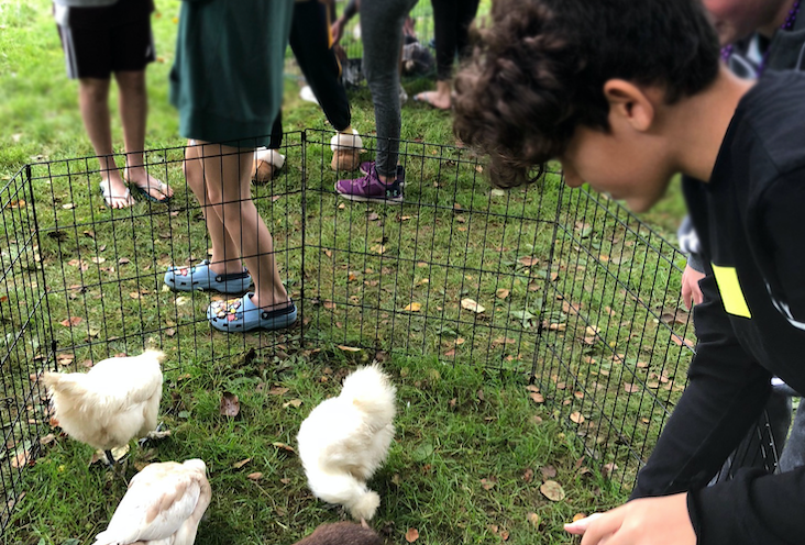 Sukkot Fall Festival