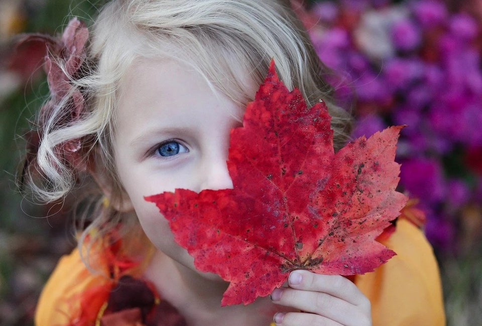 Fall Garden Buds (Ages 3-5) at New England Botanic Garden