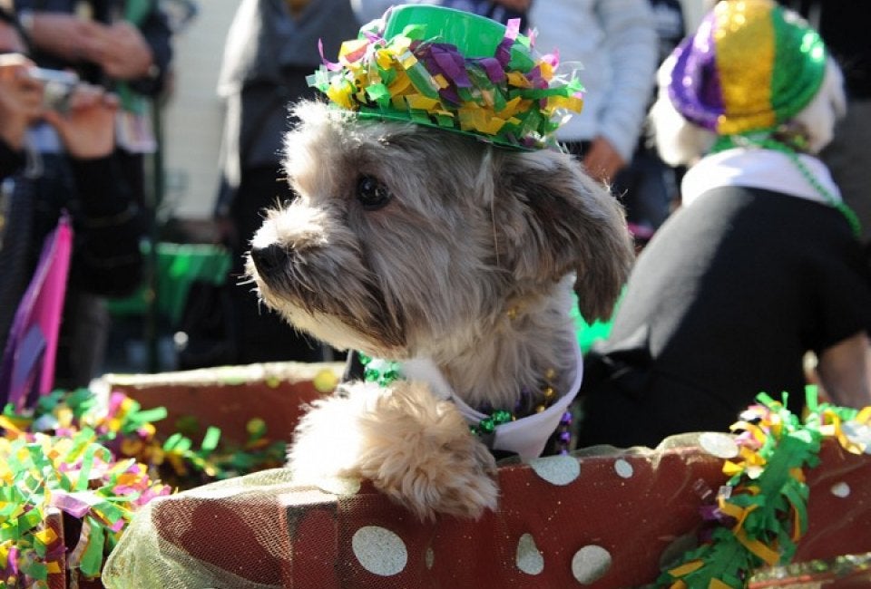 Mutty Gras, courtesy of LA Farmers Market