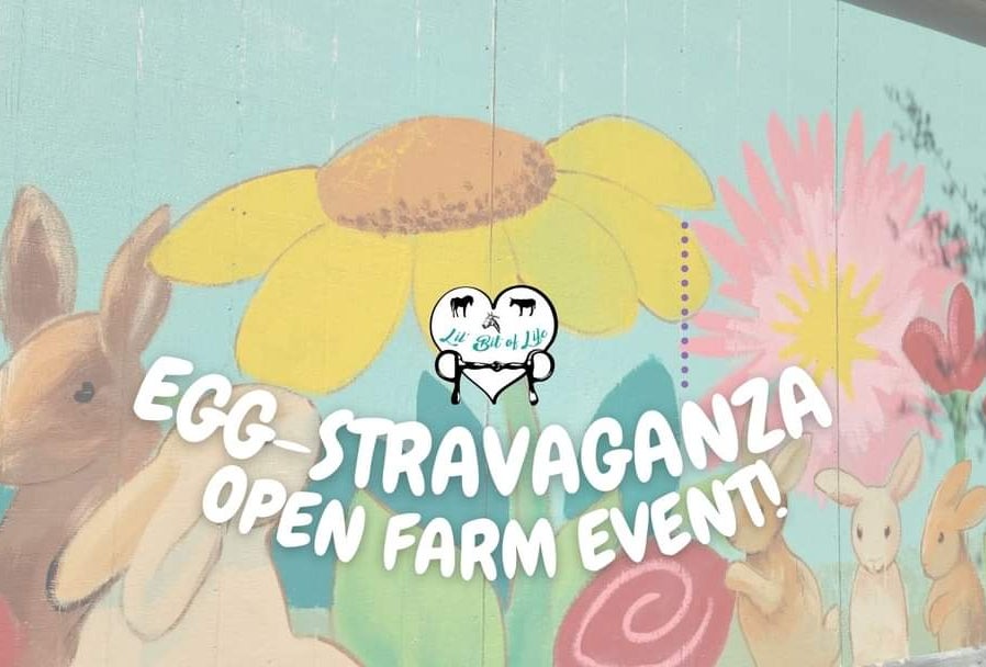 Egg-Stravaganza Open Farm Event