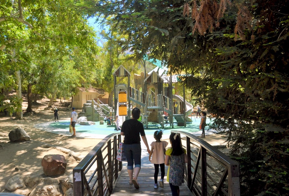 The shaded playstructure at Ferndell is in the middle of the trees. Photo by Amanda Schutt