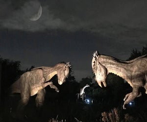 Fall favorite Dinosaurs After Dark returns this weekend! Photo courtesy of Field Station Dinosaurs