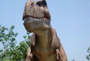 Field Station: Dinosaurs in New Jersey: Where Prehistoric Creatures Really Roam the Earth