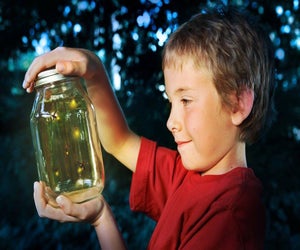 Witness summer’s fireflies lighting up Woodlawn at dusk. Photo courtesy of the cemetery