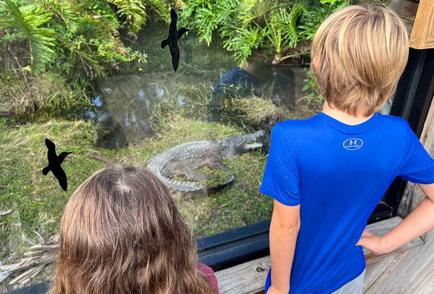 kids looking at crocodiles Visiting the Central Florida Zoo with Kids