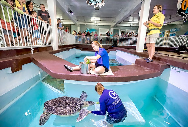 Best Florida beach vacations: Clearwater Beach