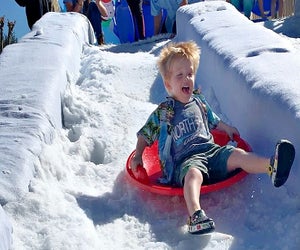 Yes, you can go sledding in Florida this weekend. Photo courtesy of Florida Flurries