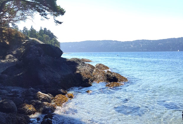 Things To Do in Seattle with Kids: Ferry to San Juan