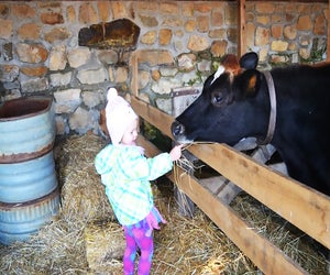 Enjoy a Winter's Day on the Farm at Fosterfields on Sunday. Photo courtesy of Morris County Parks