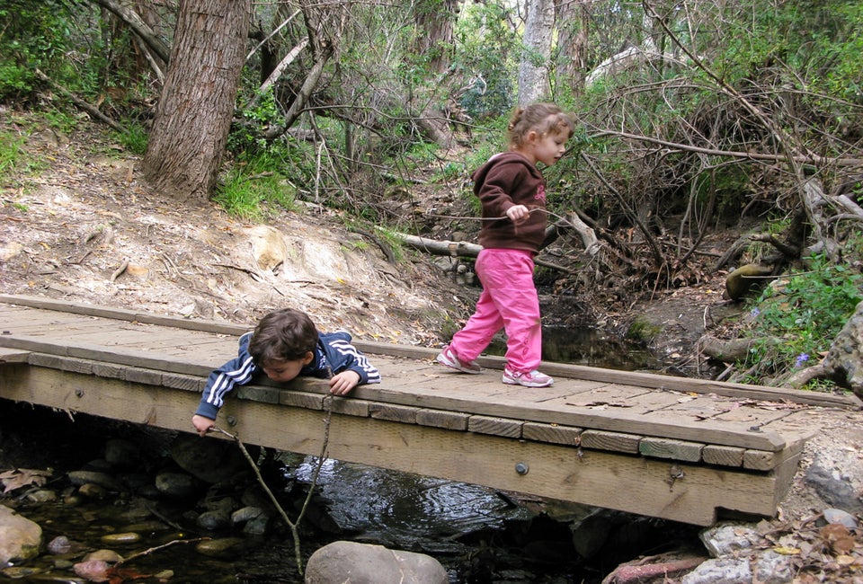 Hiking in LA means stunning vistas, hidden trails, babbling brooks, and wonderful wildlife all year.